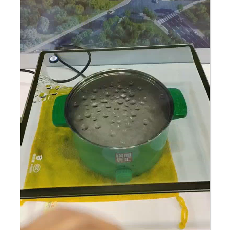 vacuum insulated glass