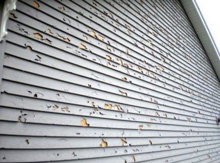 cladding aluminium factory