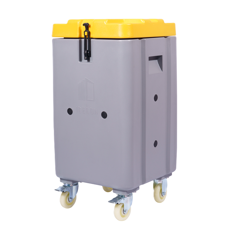 dry ice transport container