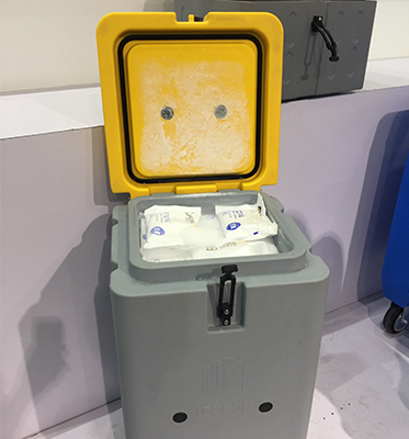 insulated dry ice containers