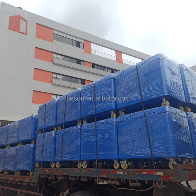 dry ice transport container
