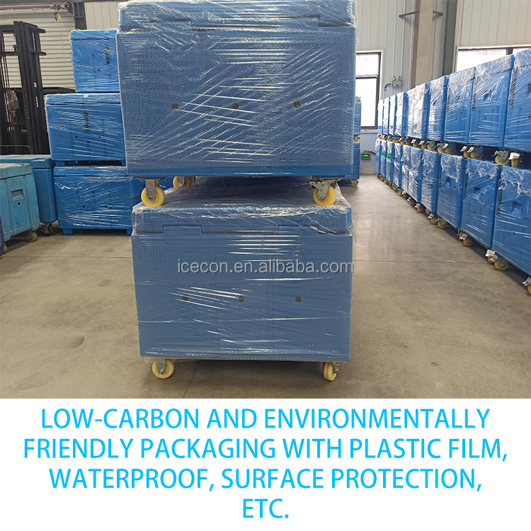 dry ice transport container