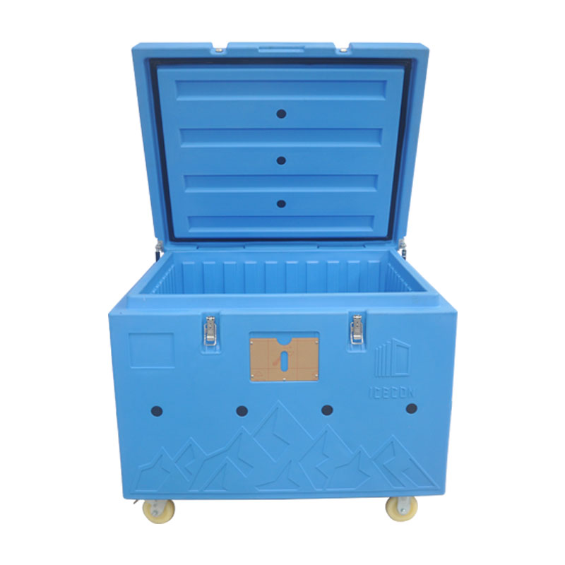 dry ice transport container