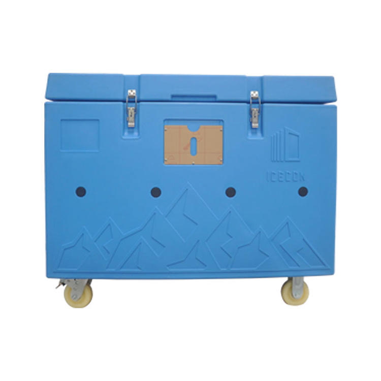 commercial dry ice transport container