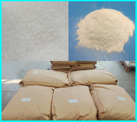 dry ice storage containers