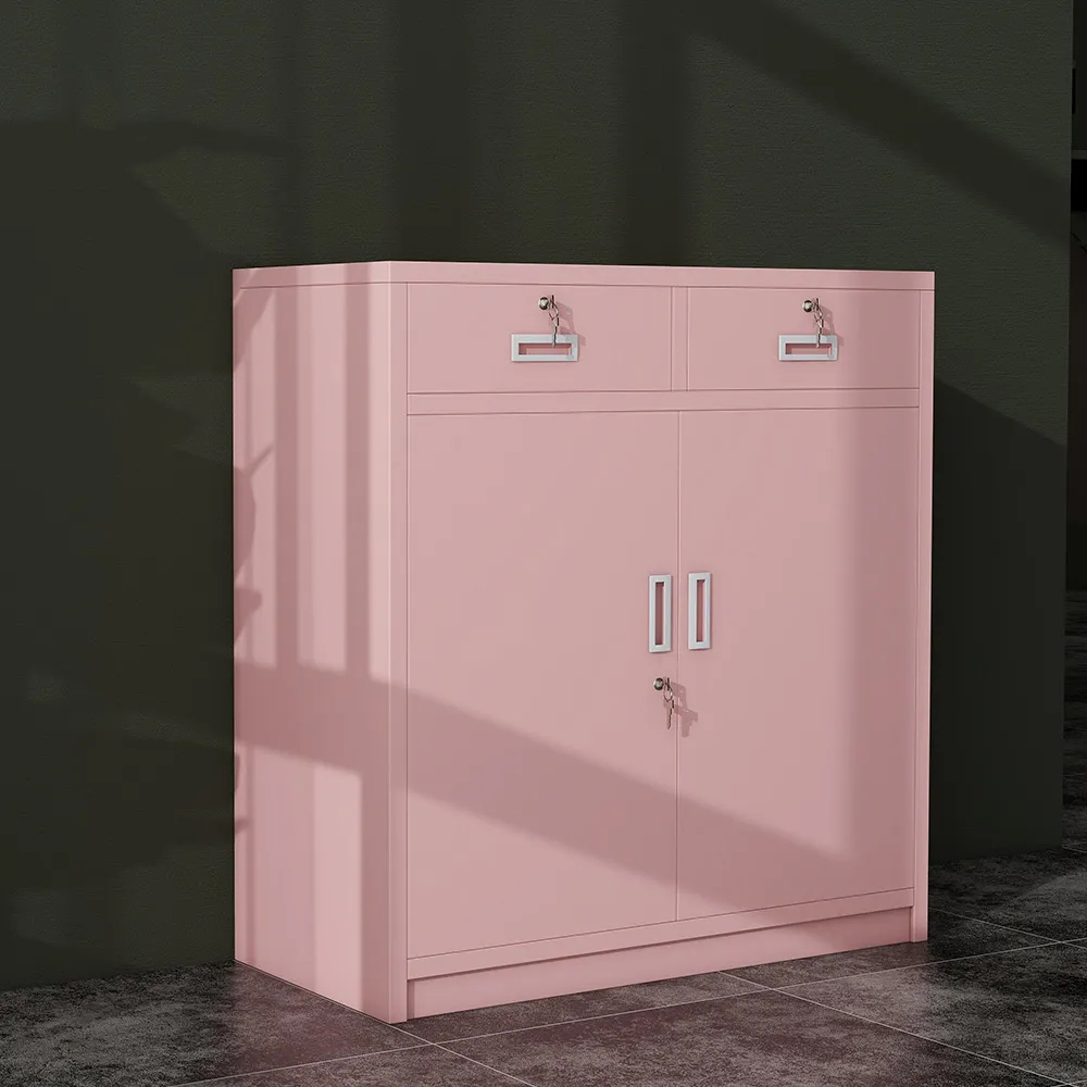 2 Door Stainless Steel Locking Steel Storage Cabinet