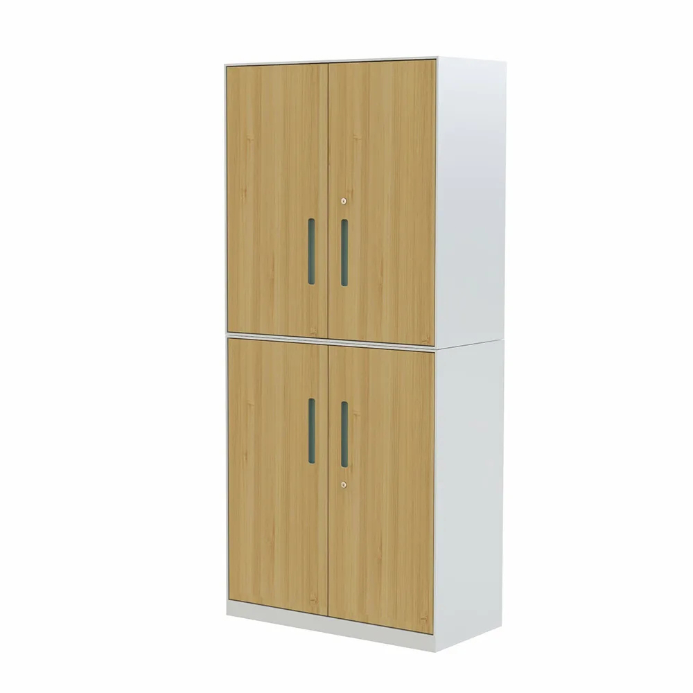 Metal Steel Lockable File Storage Cabinets