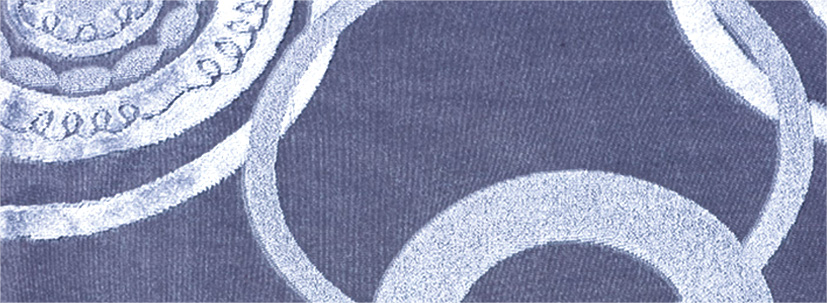 terry jacquard circular knitting machine