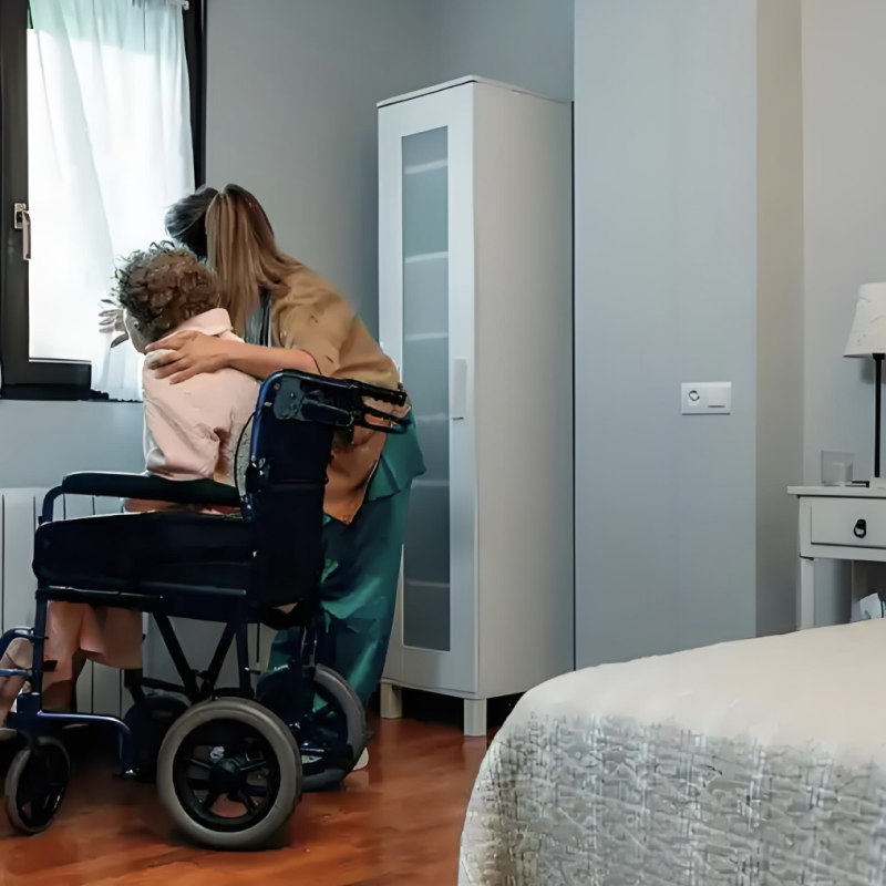 patient lift