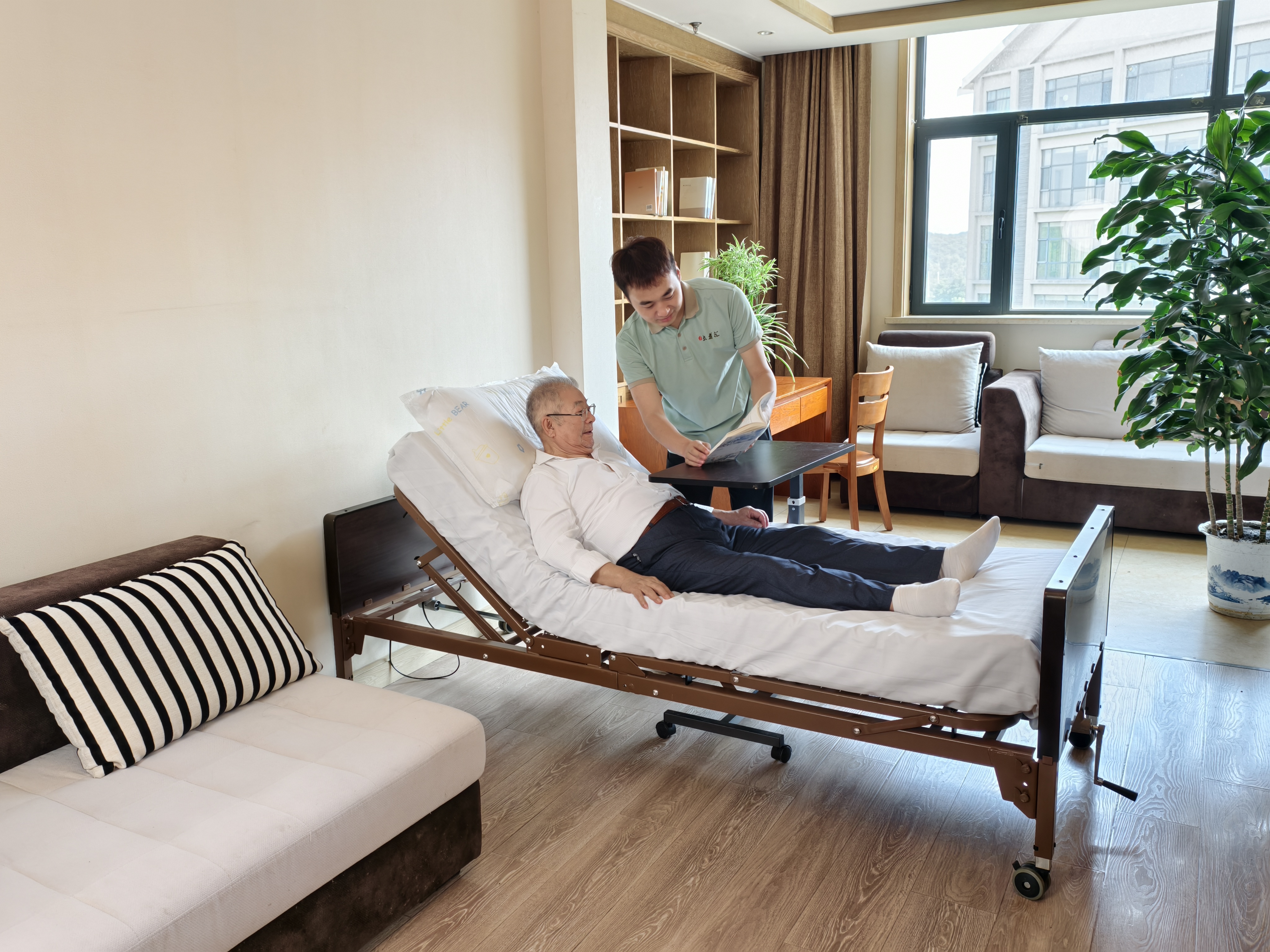 Full Electric Low Bed