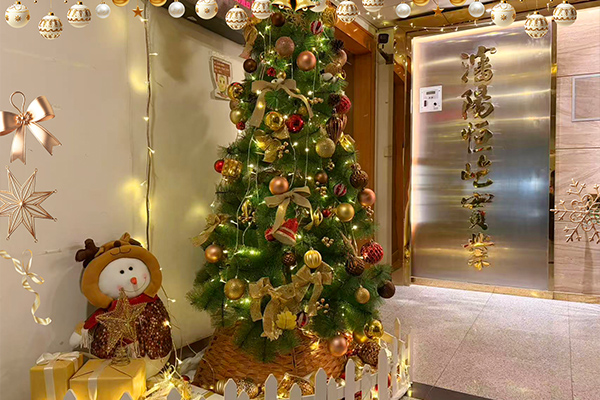 كرنفال عيد الميلاد في كيريدج