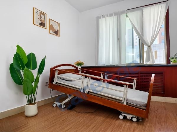 Electric Care Bed