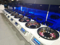 Blood group serological test gel card centrifuge with 12 cards or 24 cards