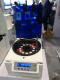 12 gel card centrifuge or 24 gel card centrifuge