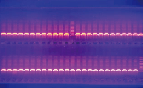 Reliability Gradient clinical PCR Instrument XX-96E