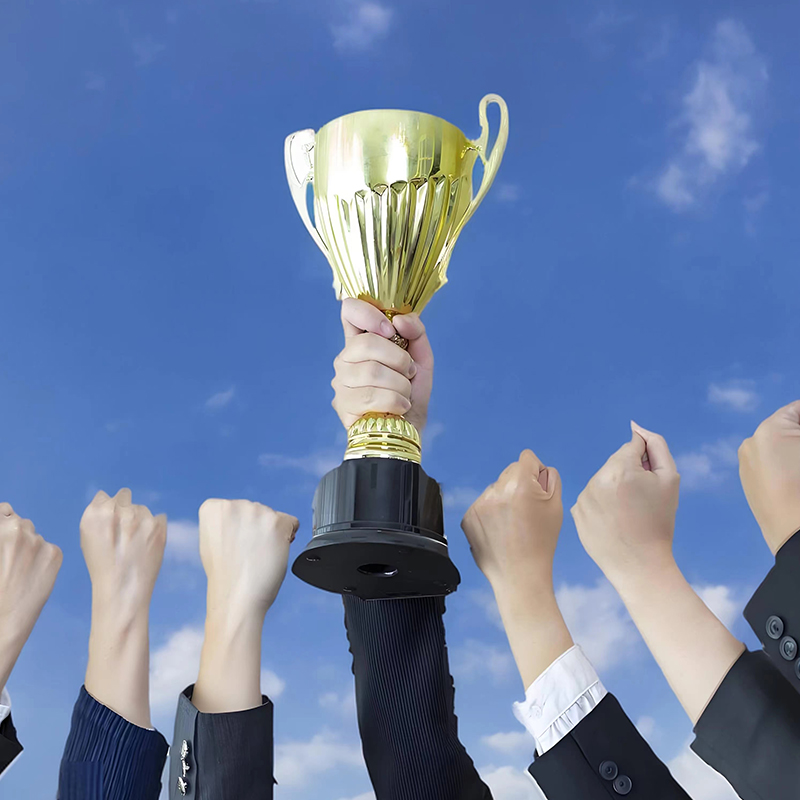 Introduction of Capabilities