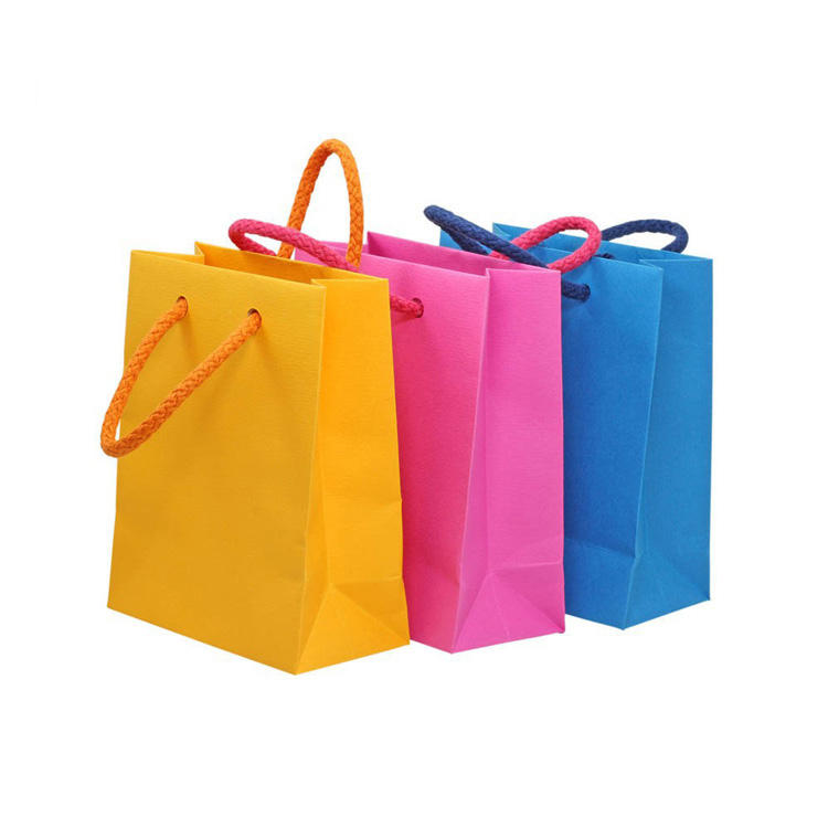 Custom Logo Luxury Gift Carry Coated Paper Shopping Bag