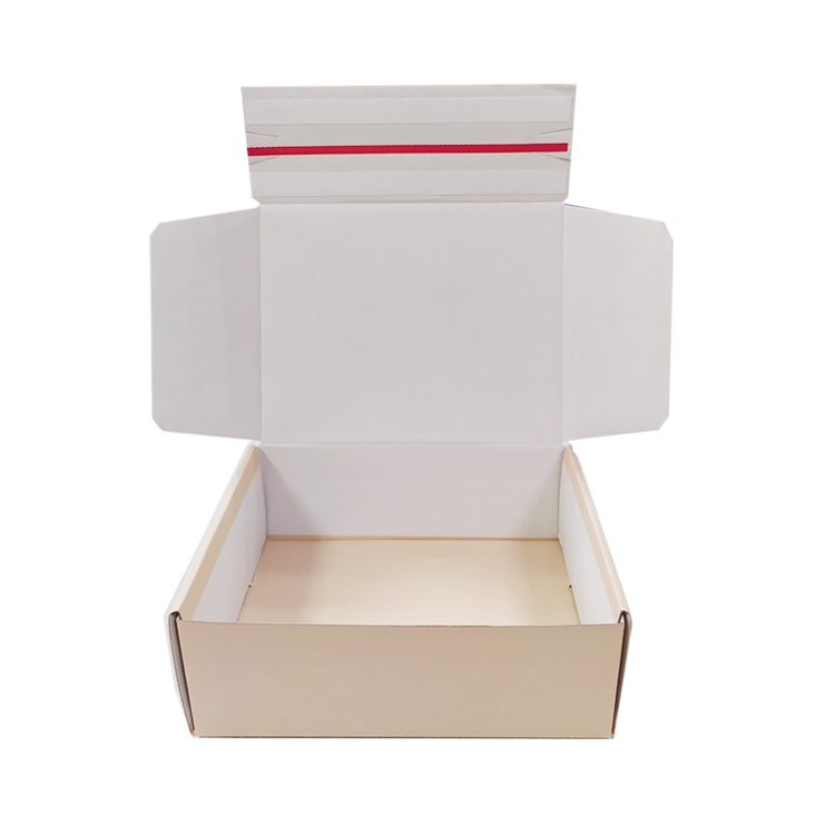Custom Designed Tear-Off Strip Corrugated Paper Shipping Boxes Recycled Zipper Mailer Boxes
