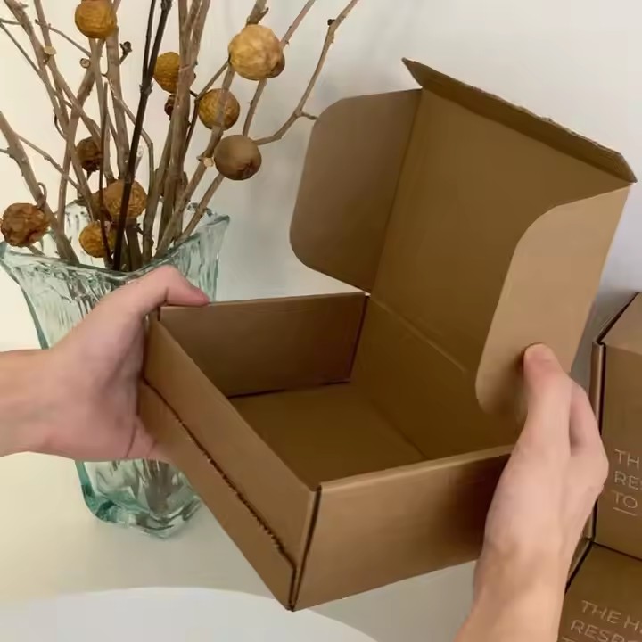 Customized Corrugated Cardboard Mailer Box Tear-Off Strip Zipper Tear-open Design Embossed Vanishing Printing Handling Options