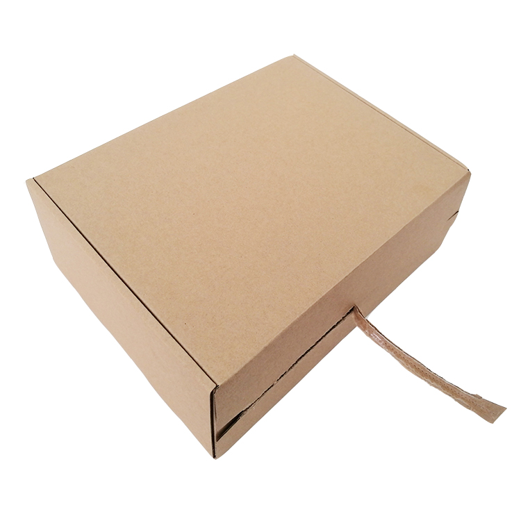 Natural Brown Kraft Paper Corrugated Cardboard Box Flower Delivery Gift Wrap Shipping Box with Tear Strip
