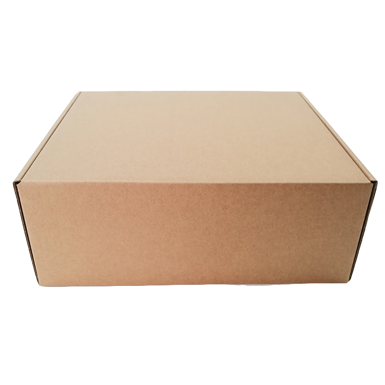 Natural Brown Kraft Paper Corrugated Cardboard Box Flower Delivery Gift Wrap Shipping Box with Tear Strip