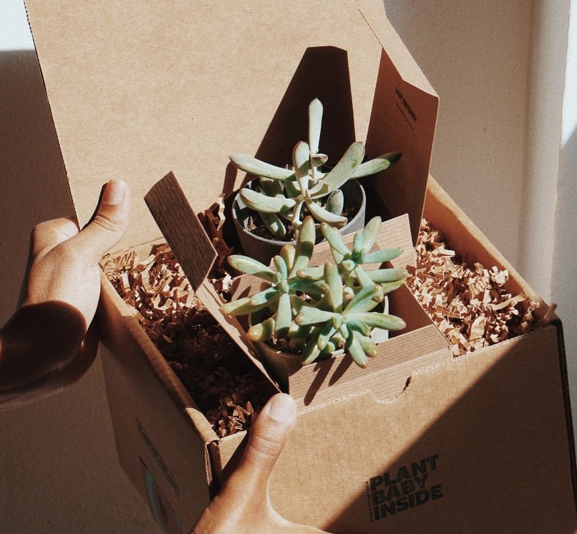 Kraft Paper Corrugated Box