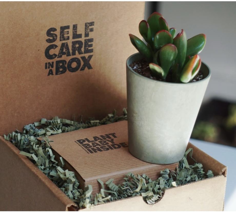 Kraft Paper Corrugated Box Packaging for Plant Succulent