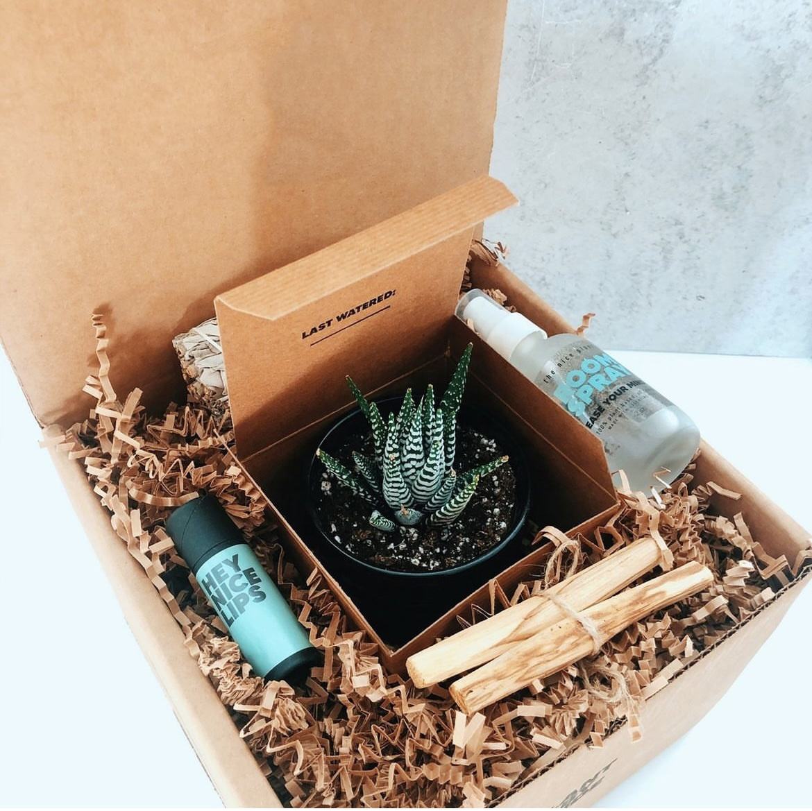 Kraft Paper Corrugated Box Packaging for Plant Succulent