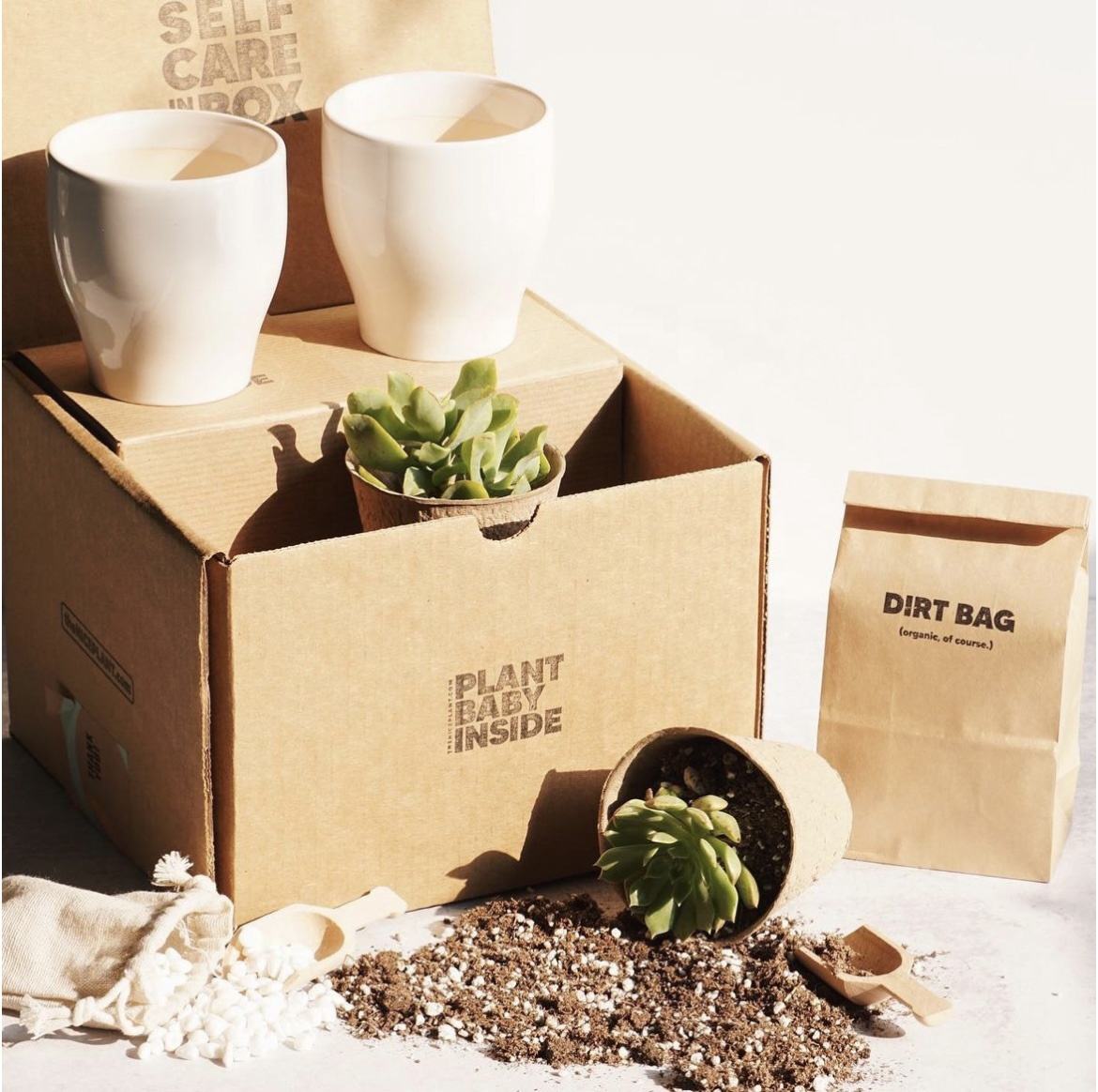 Kraft Paper Corrugated Box Packaging for Plant Succulent