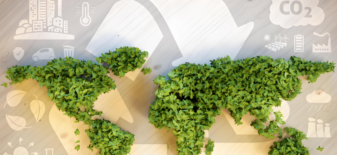 Sustainable Shipping Solutions