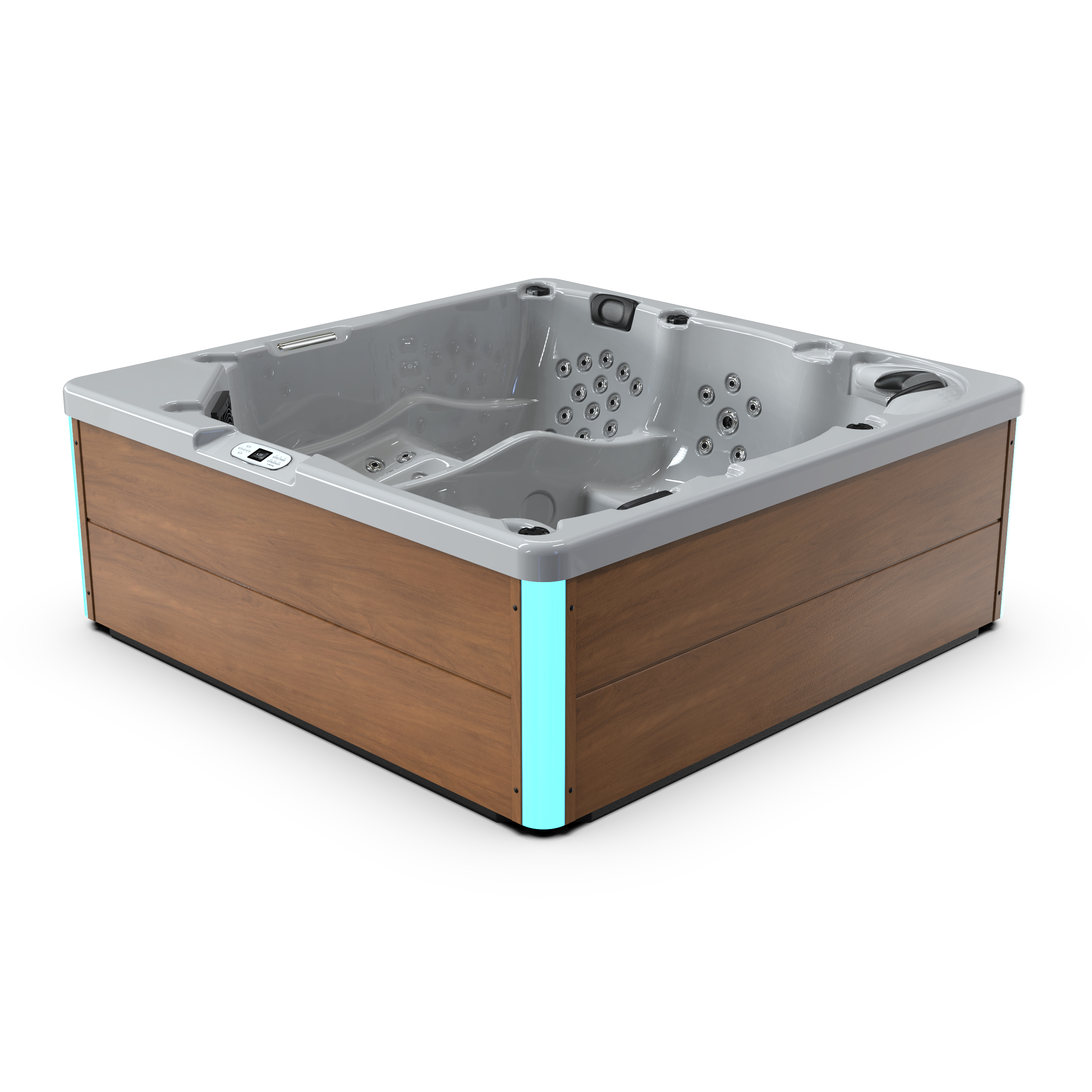 Family leisure hot tubs 110 thermo above ground spa