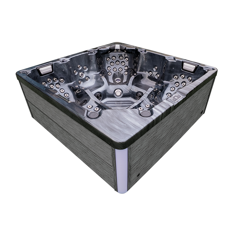 Family leisure hot tubs 110 thermo above ground spa