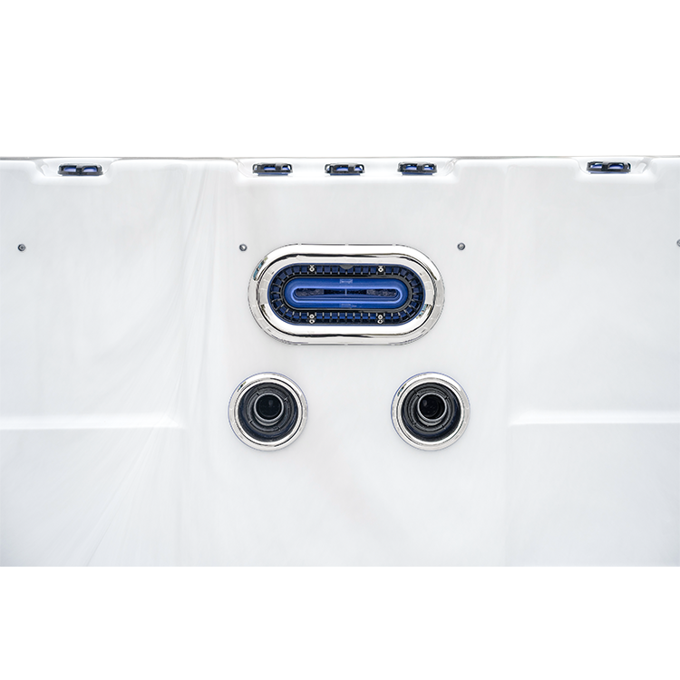 Family Backyard Above Ground Swimming Pool SPA