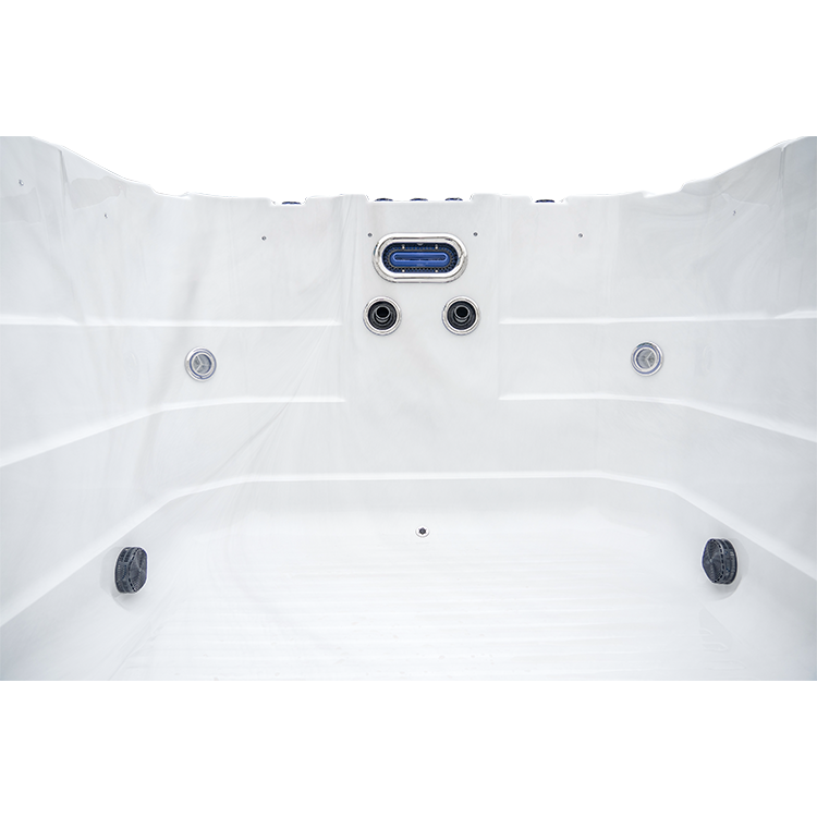 Family Backyard Above Ground Swimming Pool SPA