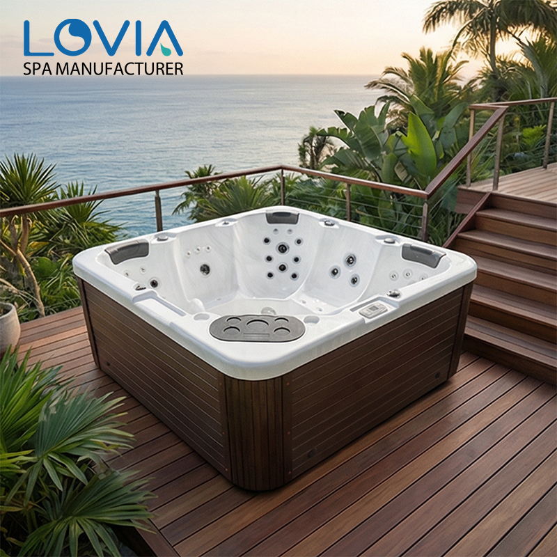 swim spa tub
