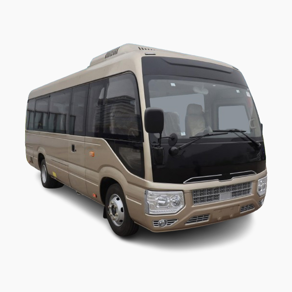 Pure electric minibus