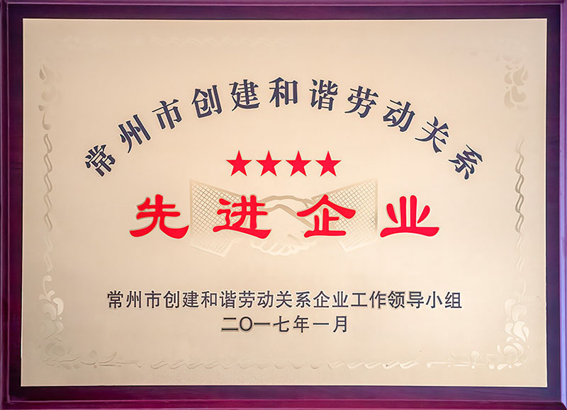 2017 المؤسسة المتقدمة