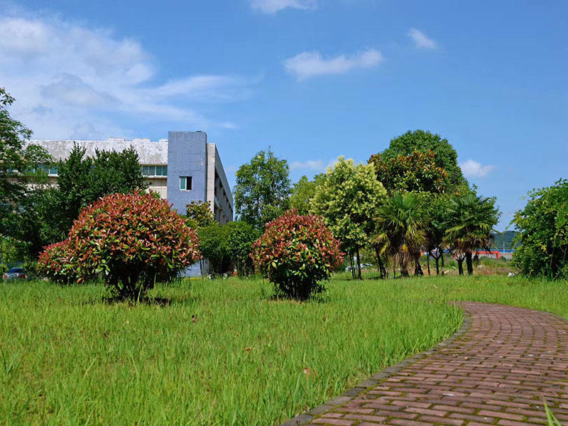 ملخص نصف سنوي واجتماع صباحي لمهرجان لييانغ سينوما 2024