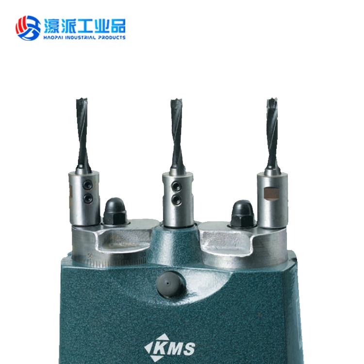 Drilling Row 3-Spindles Adjustable Drill Head for CNC Machinery