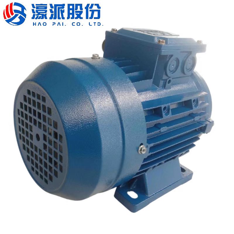 Roller Conveyor Motors