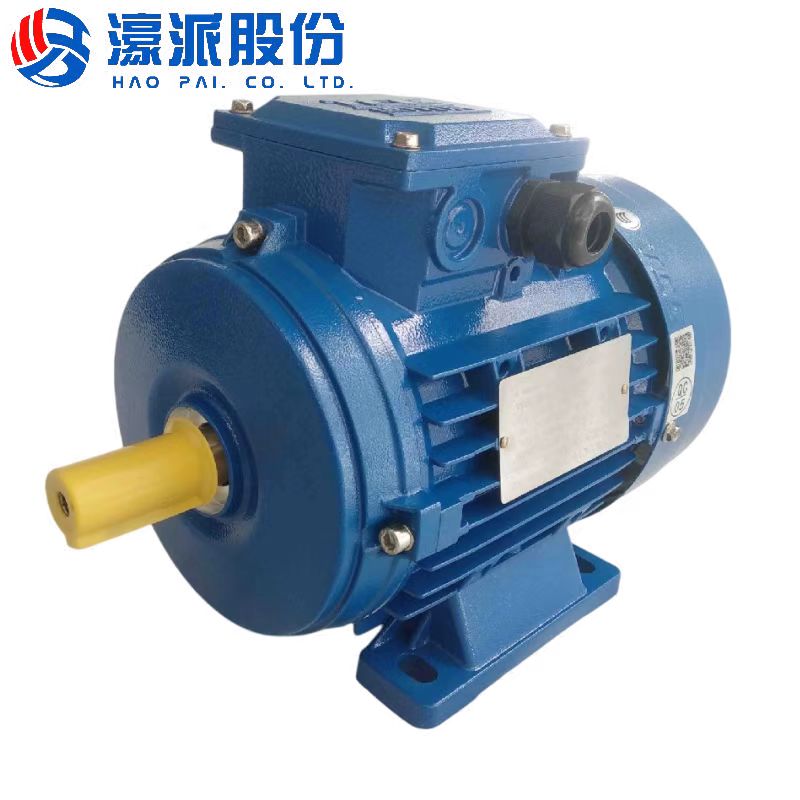 Roller conveyor motors