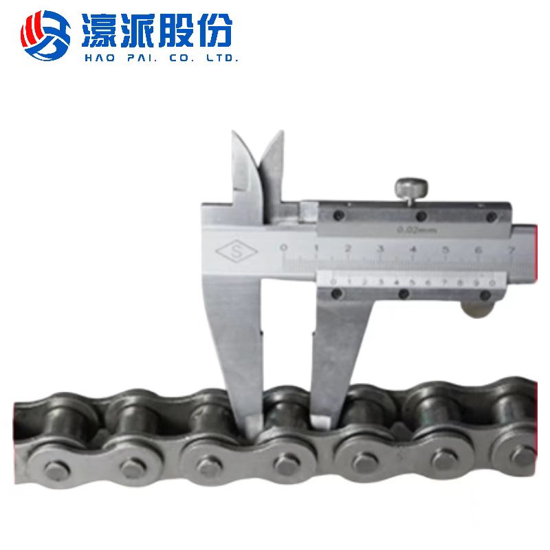 Double - row chain