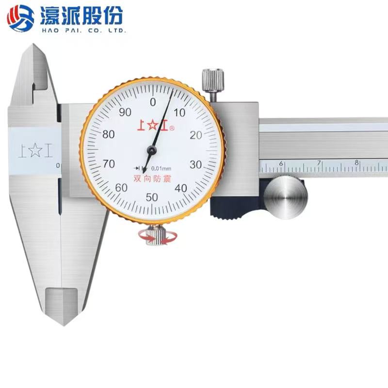 Vernier caliper with gauge