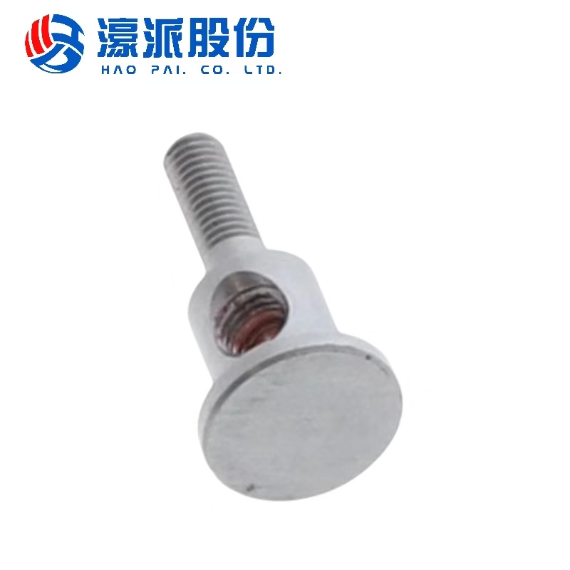 Bolts Accessories for Homag Woodworking Machine Spare Parts