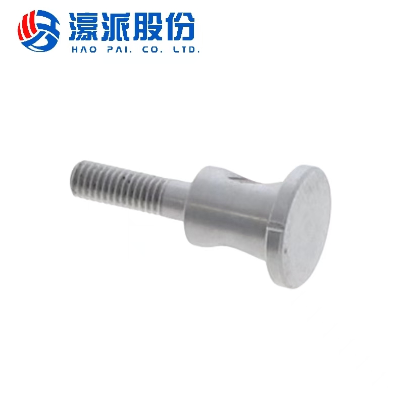 Bolts Accessories for Homag Woodworking Machine Spare Parts