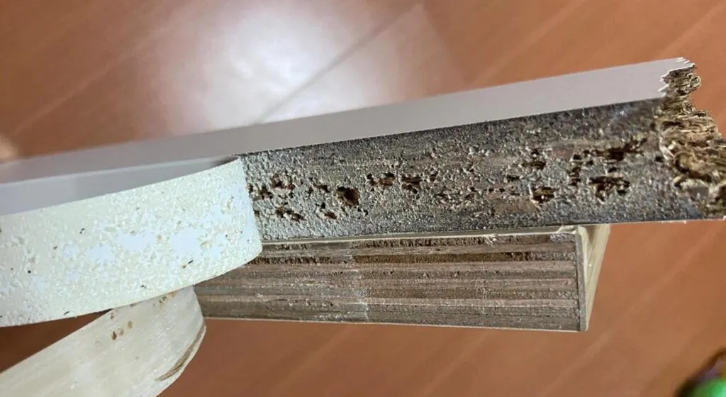 Beyond Replacement: How Chinese Manufacturers Empower High-End Edgebanding Lines with “Performance-Customized” Edgebander Parts