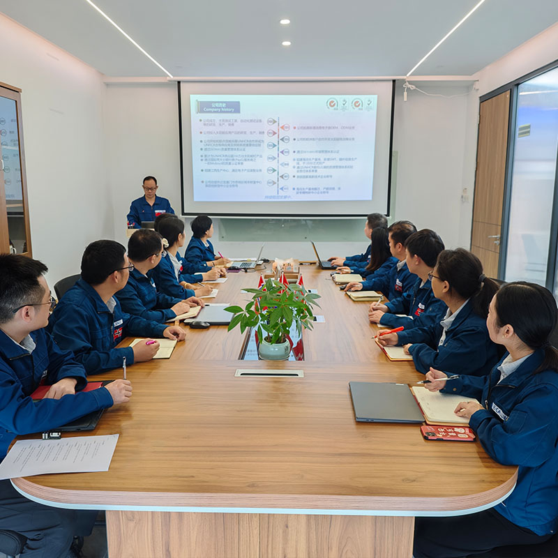 Paygo Solar home system