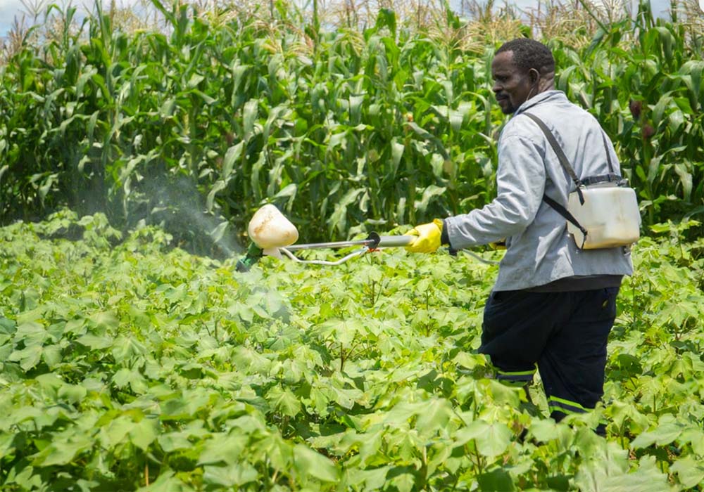 solar battery stick for handy sprayer