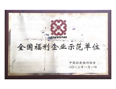 Entreprise de démonstration du Bien-être National en 2013