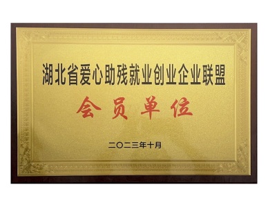 Assistance for the Disabled Employment Enterprise in Hubei 2023